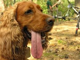 Feet Don't Fail Me...