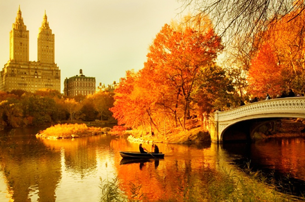 Fall In Love With Fall...