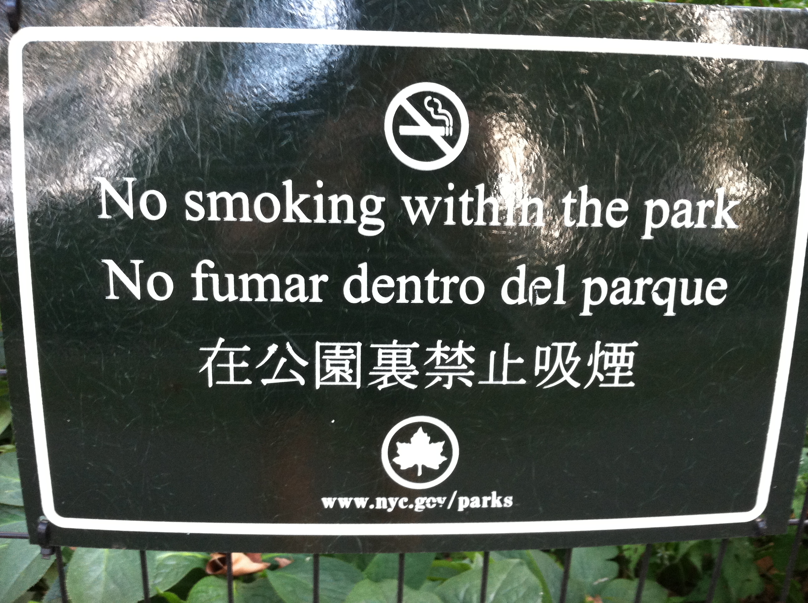no smoking