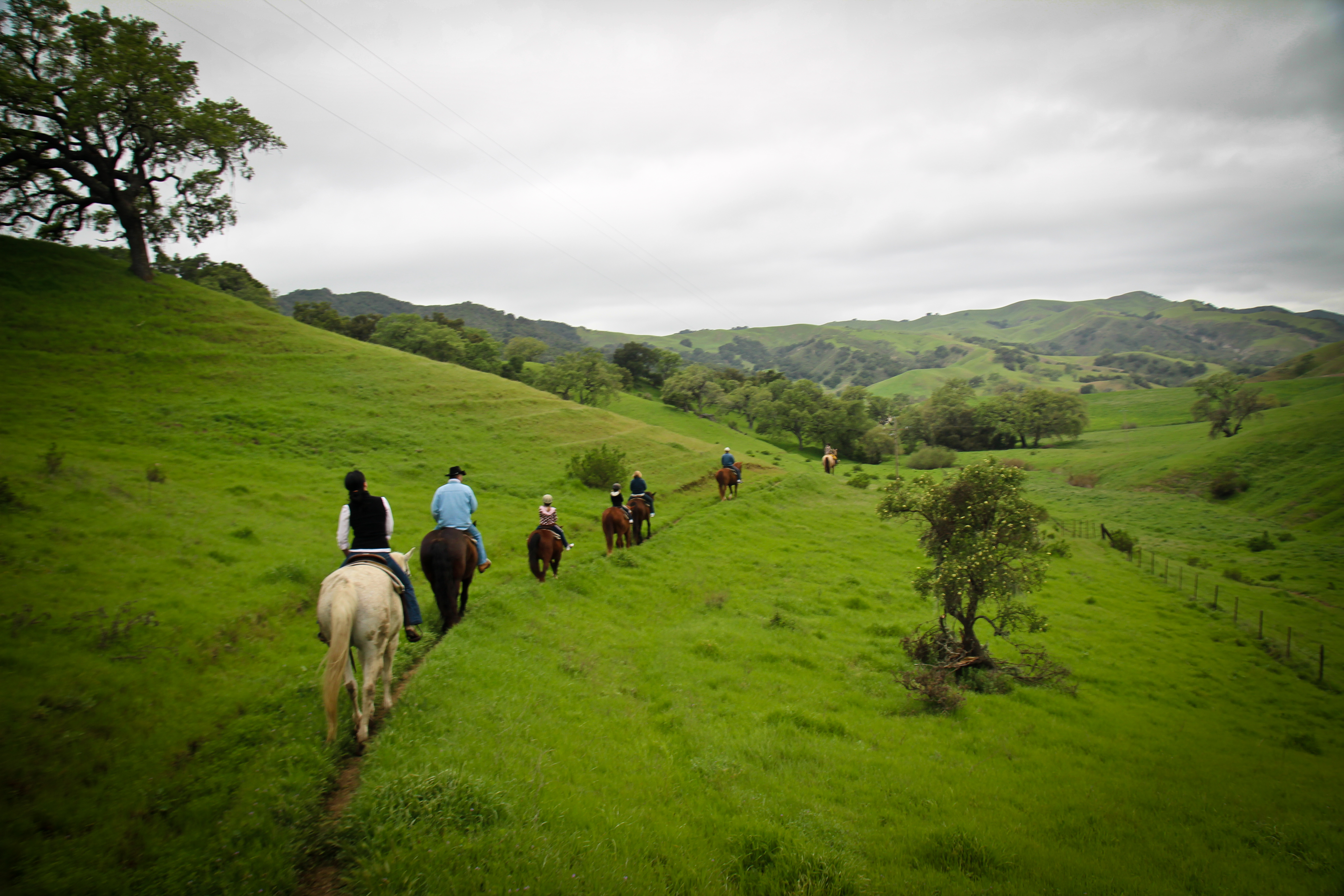 Trail Riding on the Range