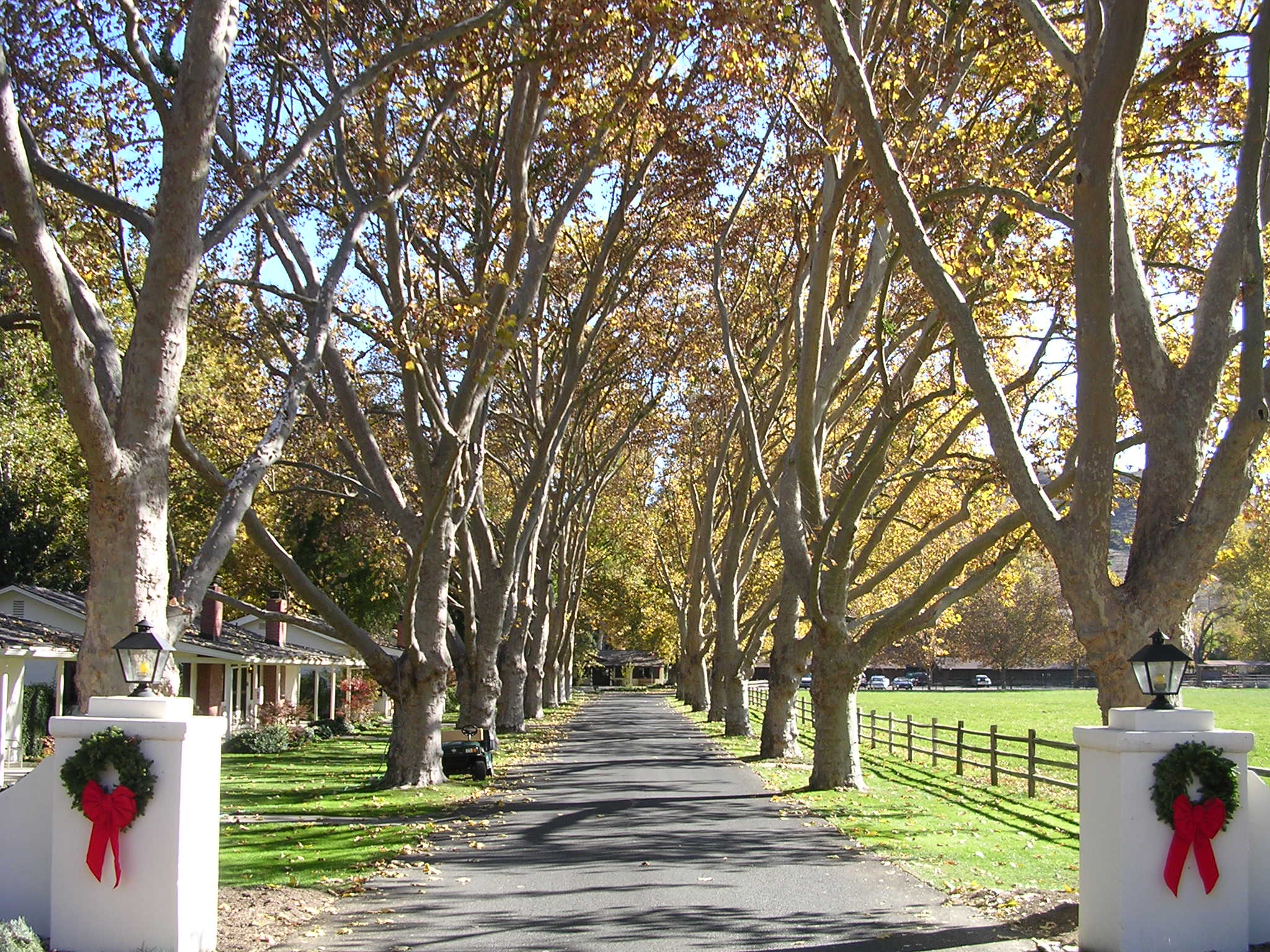 Home On The Range...