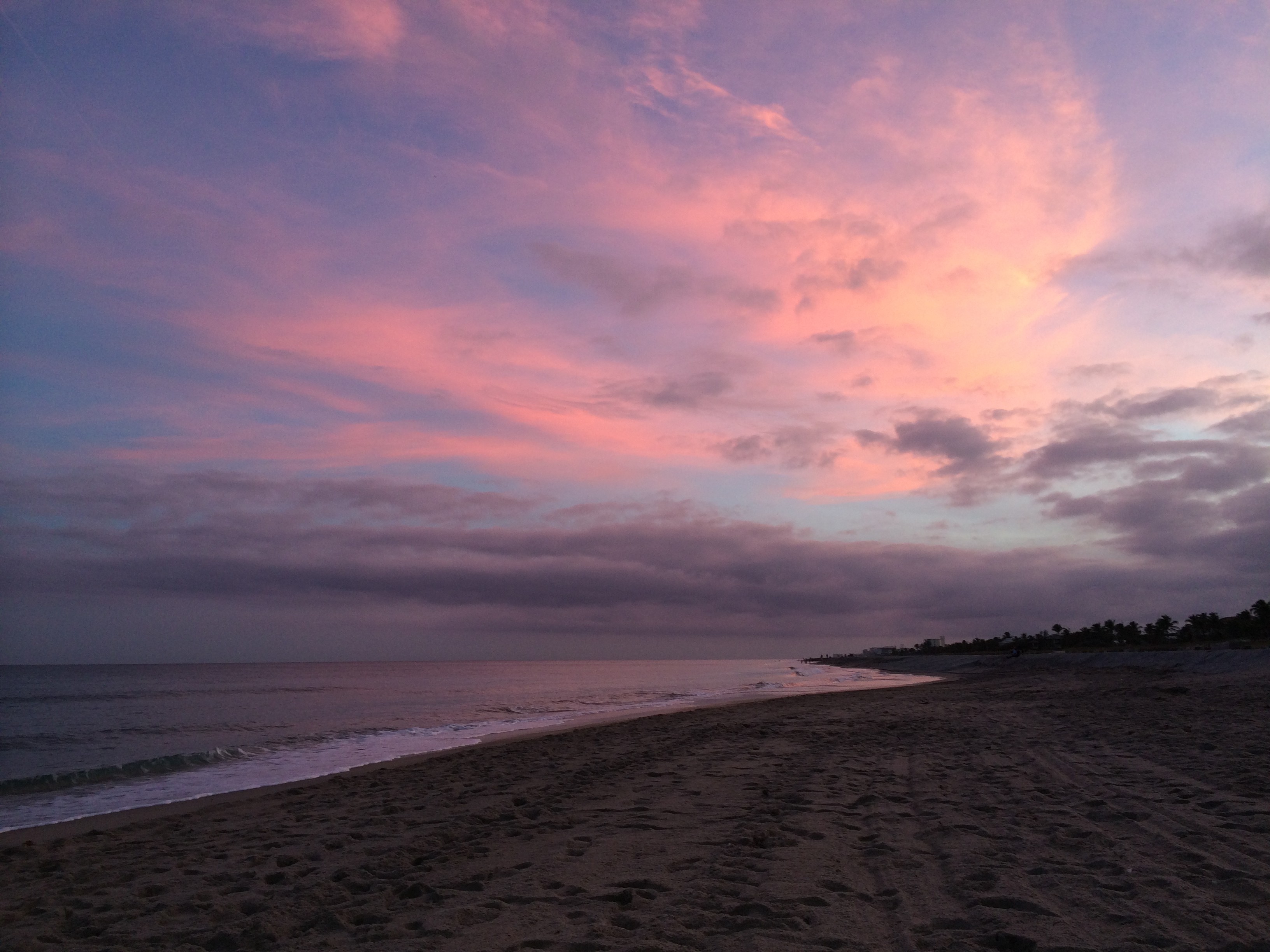 Savoring Solitude...