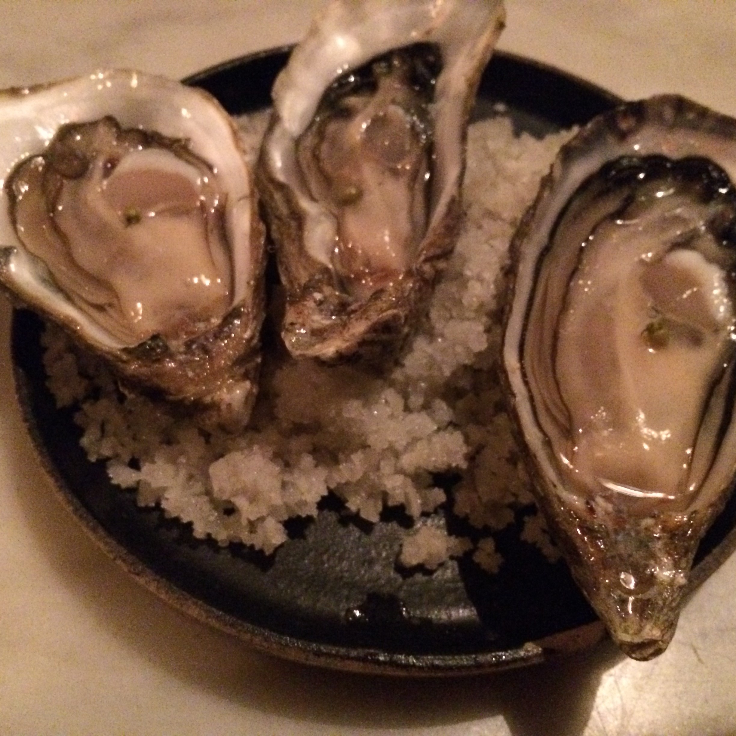 oysters