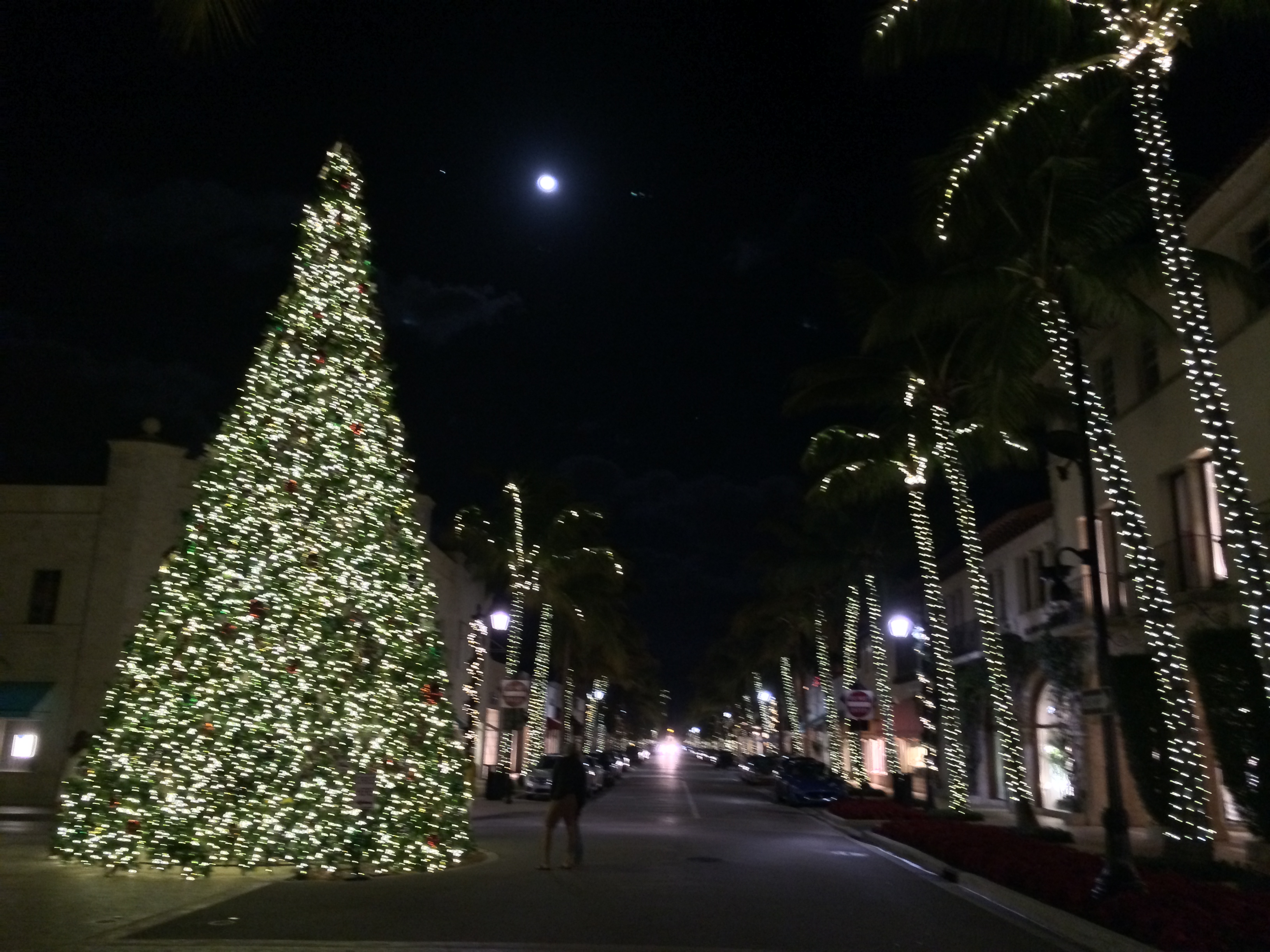 Palm Beach Holiday Pomp...