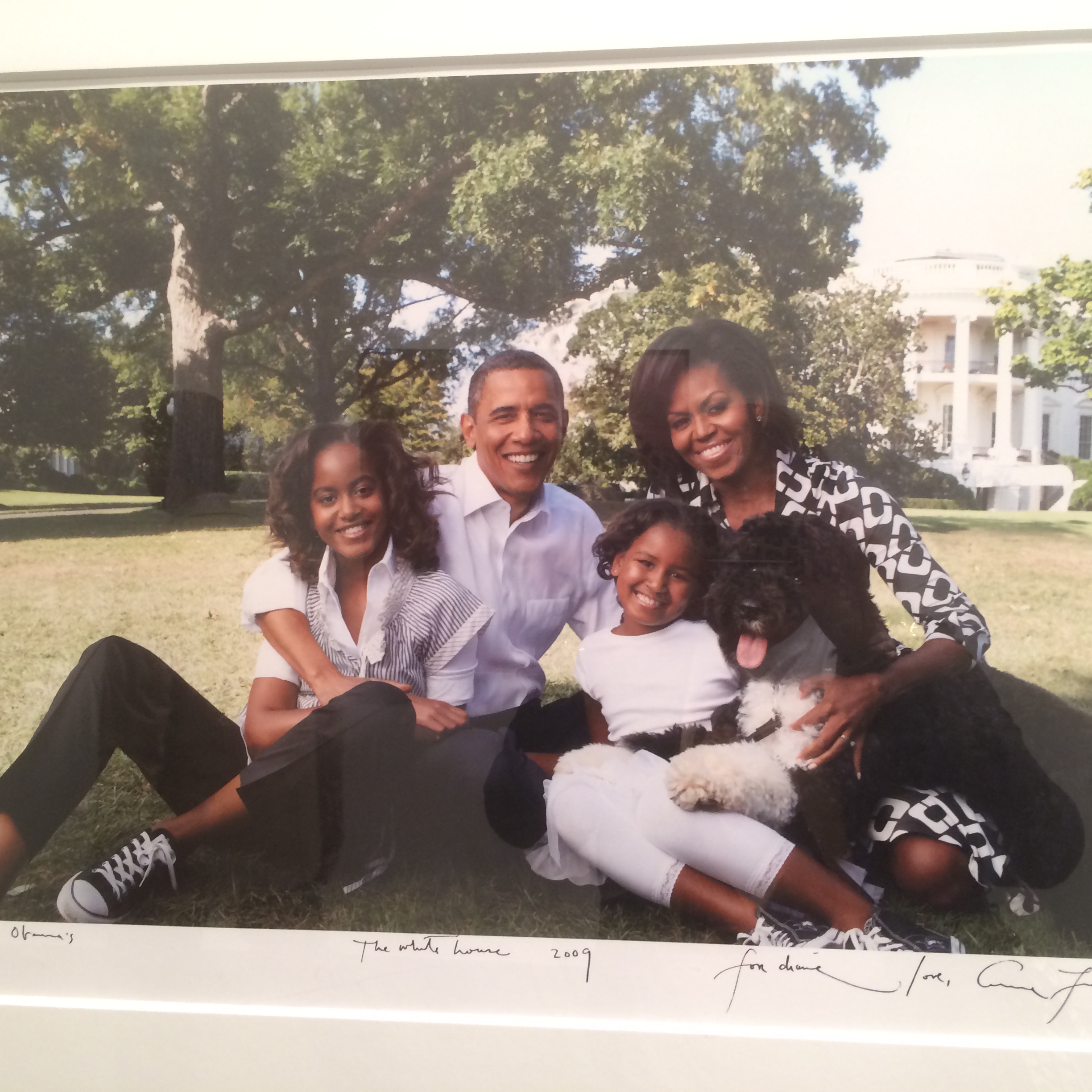 Michelle Obama in DVF