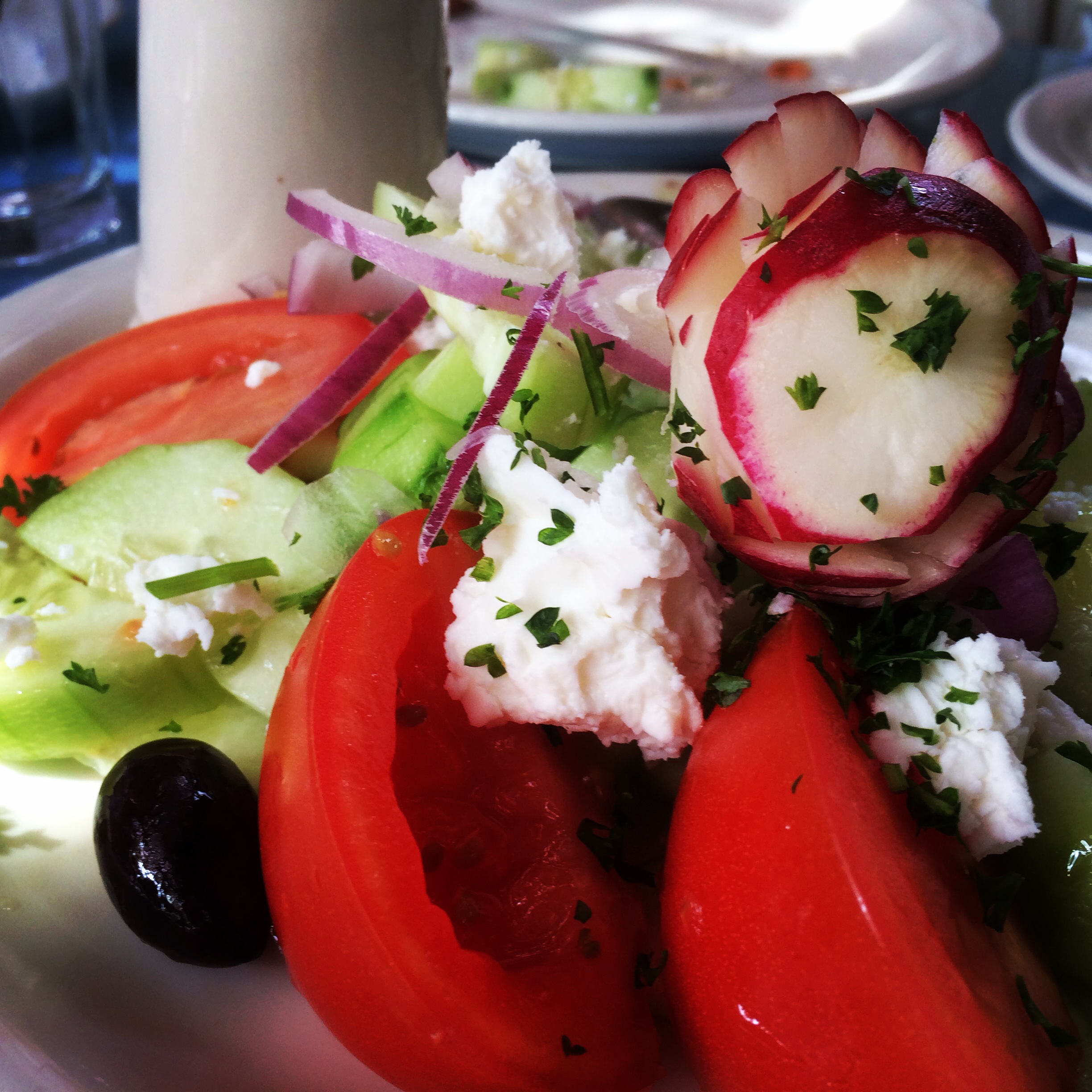 Taverna Salad