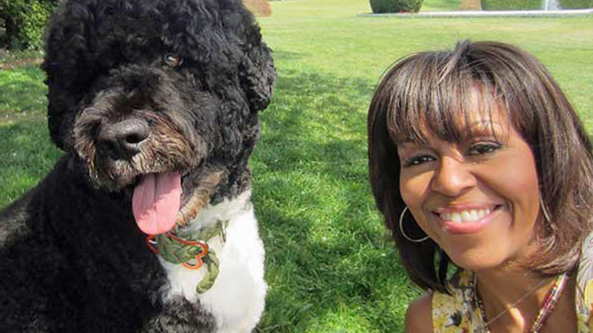 Bo and Michelle Obama Selfie