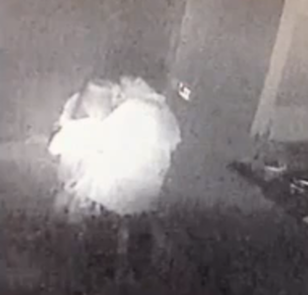 McAllister and Staffer