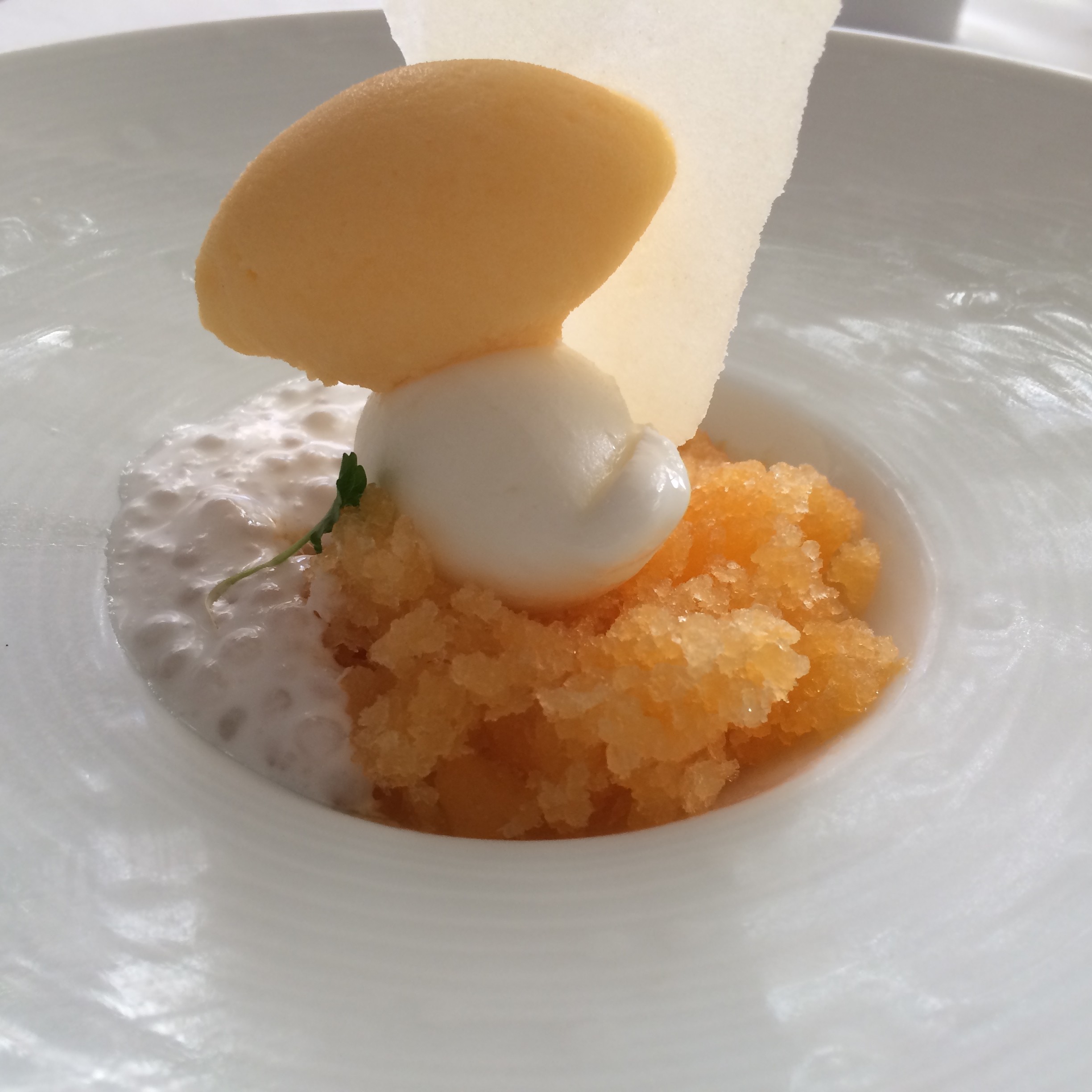Tapioca and Granita Dessert