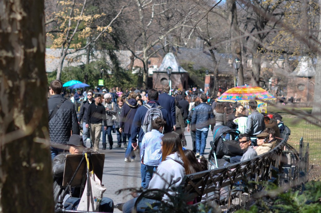 Tourists In Central Park