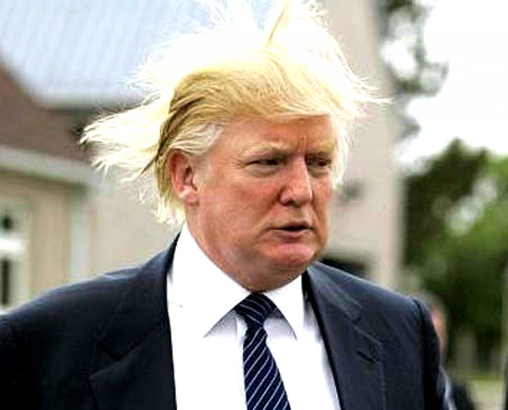 All About The Hair...