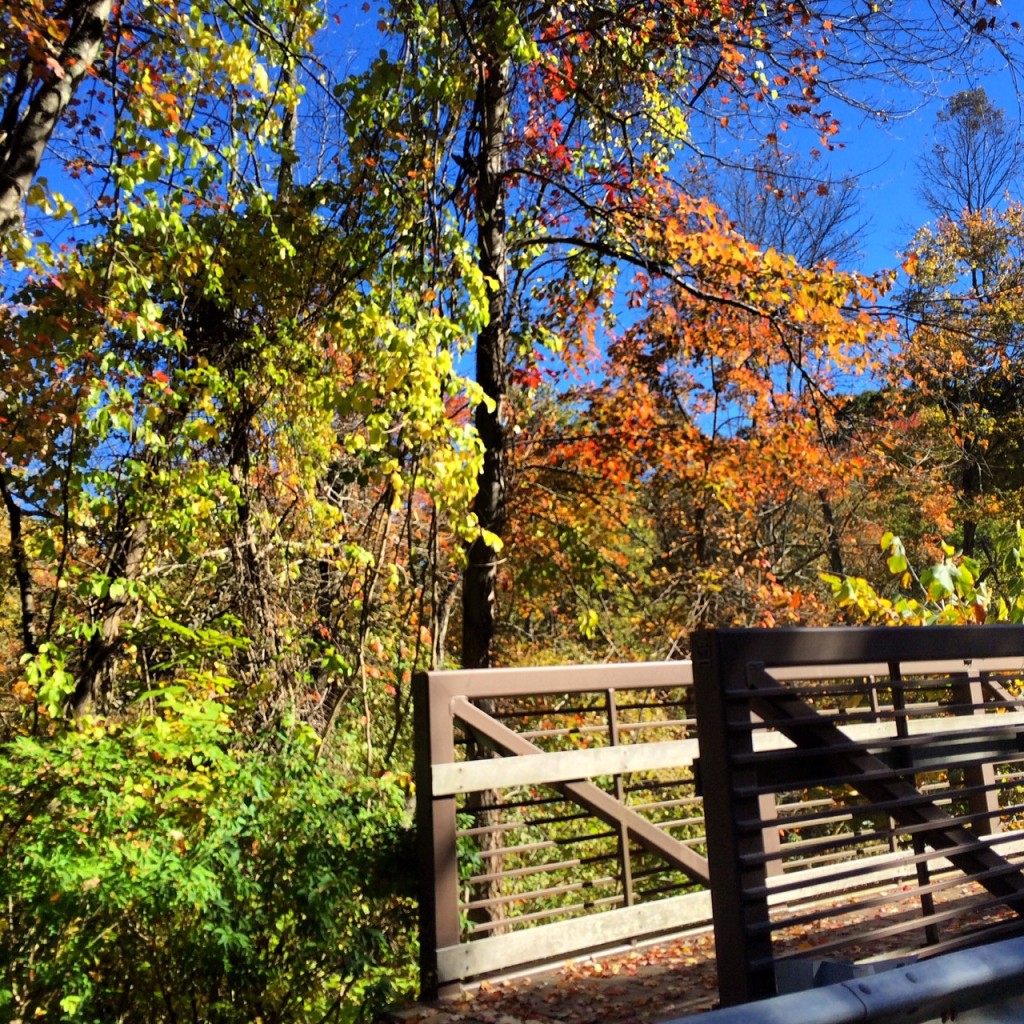 Scotts Corners, NY (population 711)