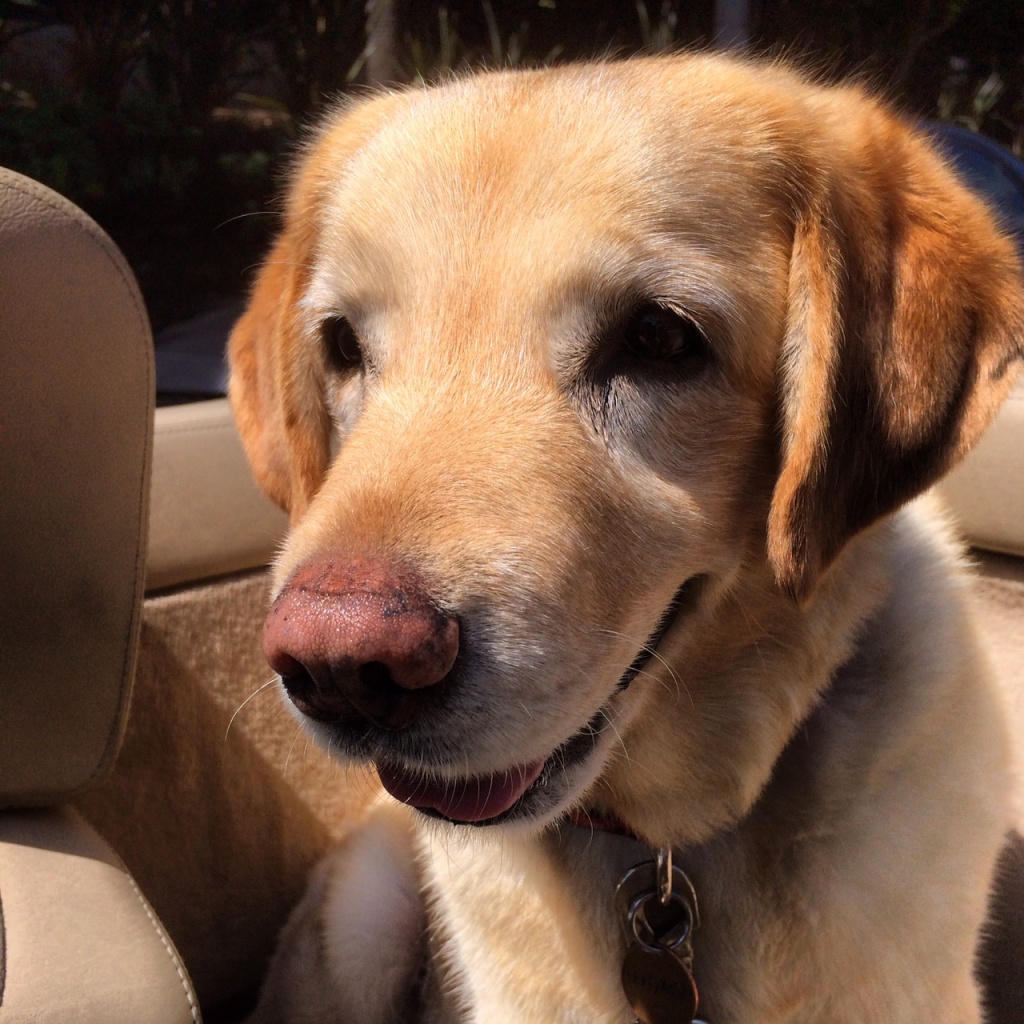 Ms. Madison Avenue...