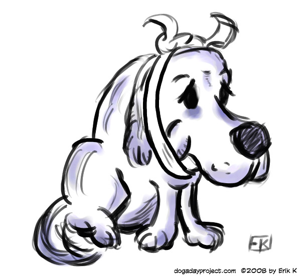 Weekend Abscession...