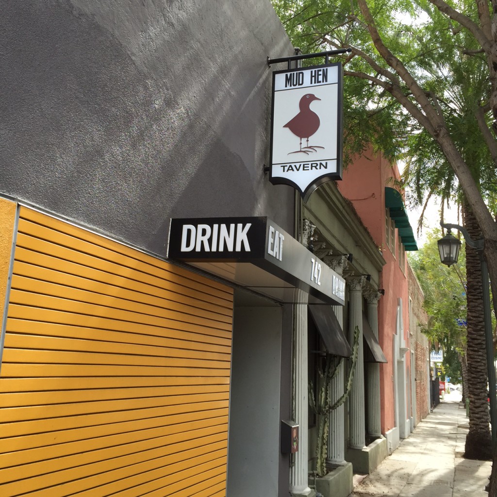 Mud Hen Lays An Egg...