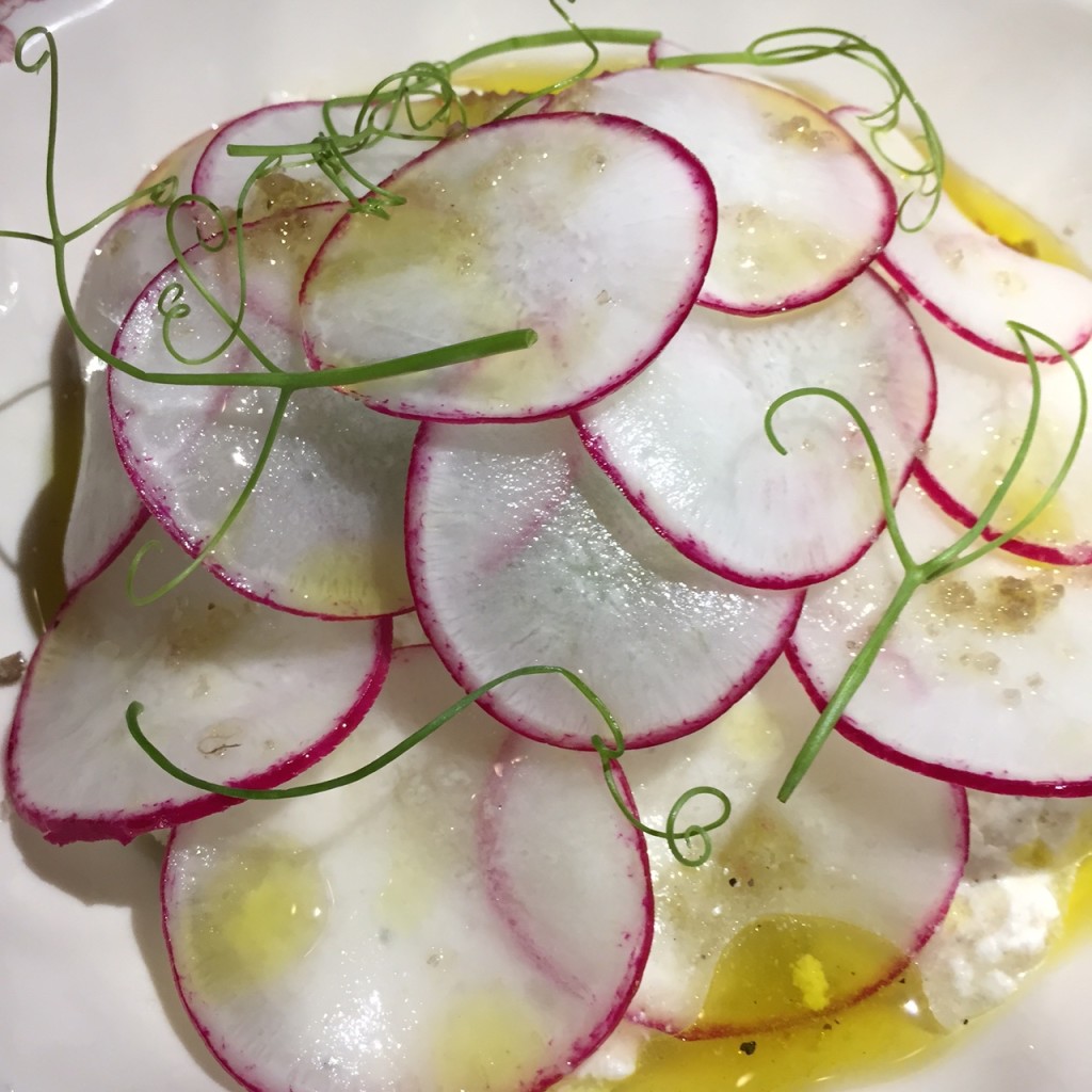 Ox & Son Plows Ahead...