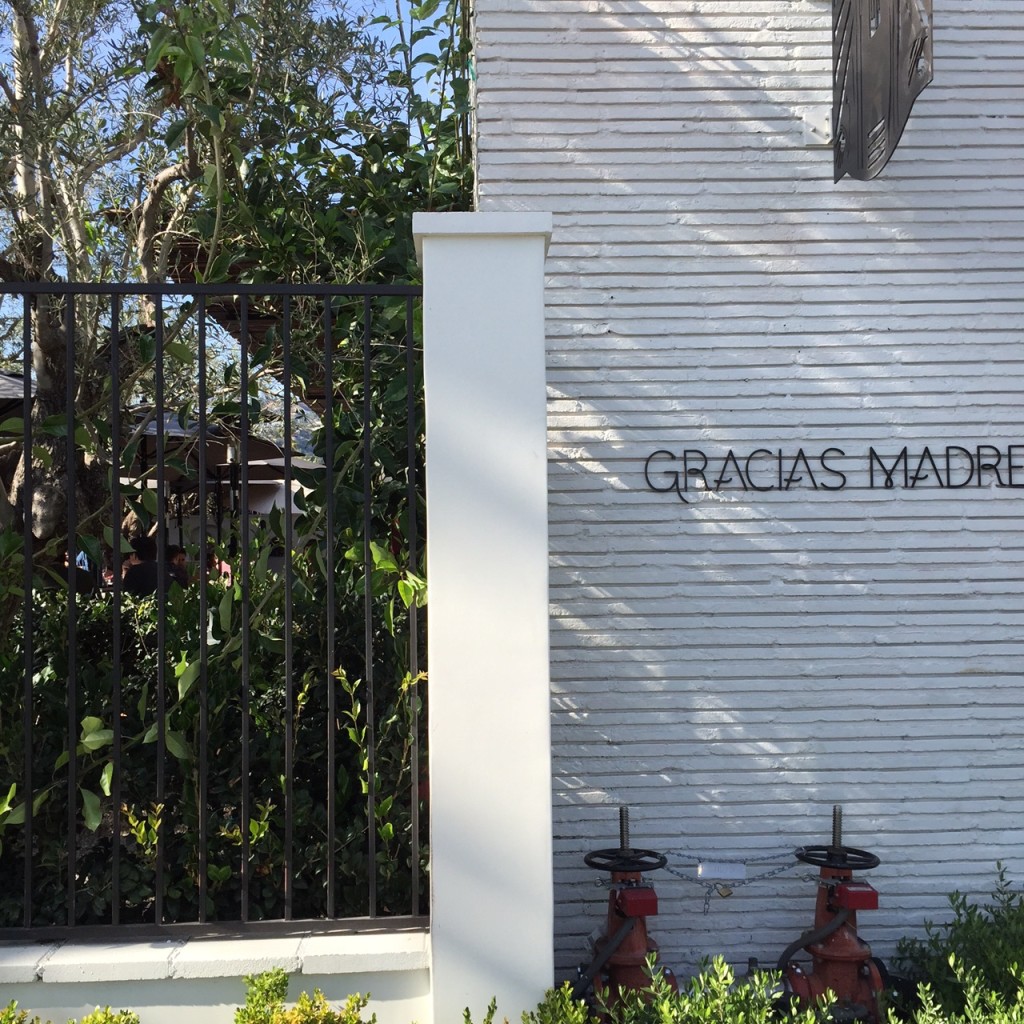 Gracias Madre