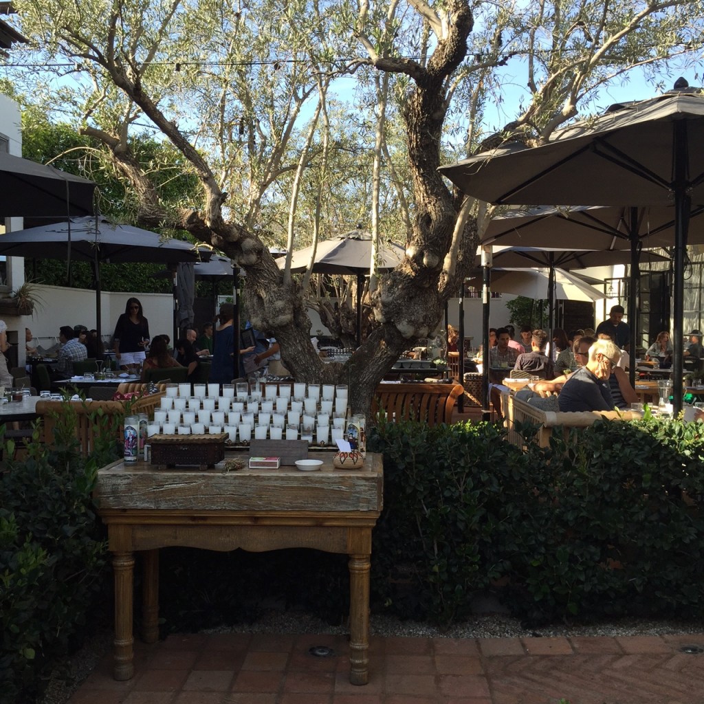 Por Favor, No Gracias Madre...