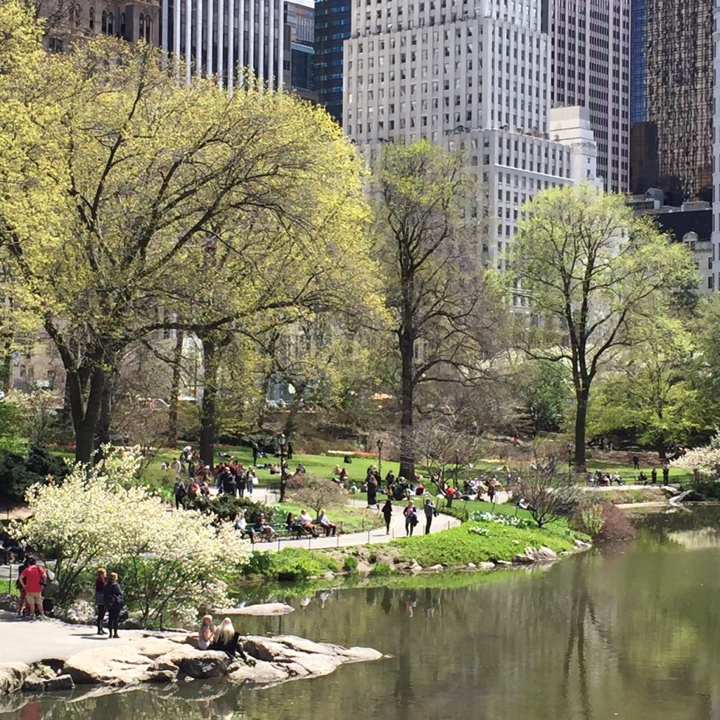 Central Park