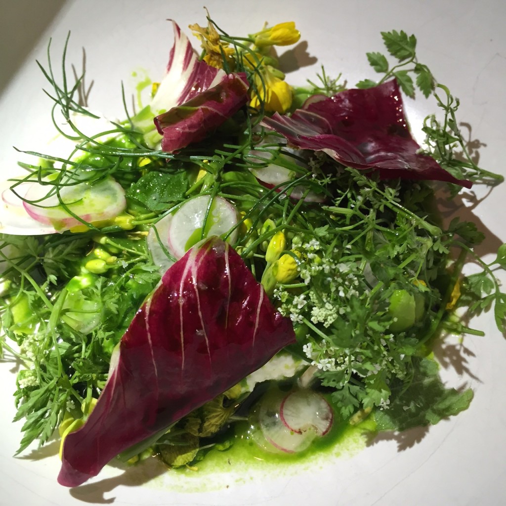 Chickpeas, Fresh Cheese, Herbs