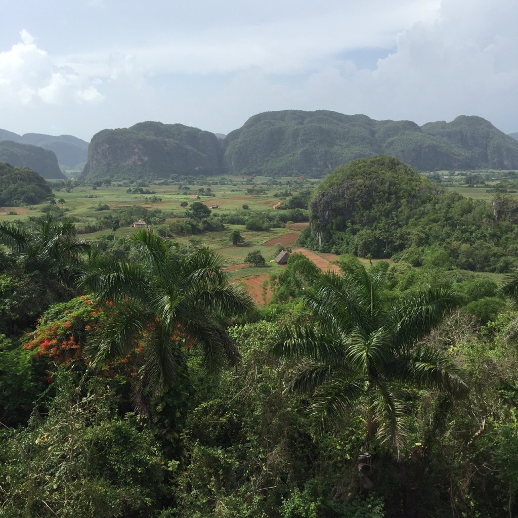 Countryside near Pinares
