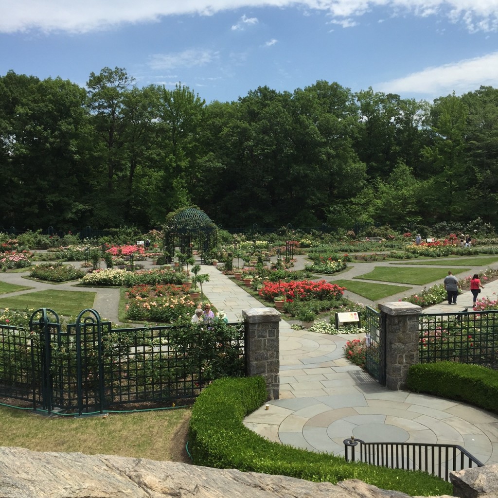 Rockefeller Rose Garden