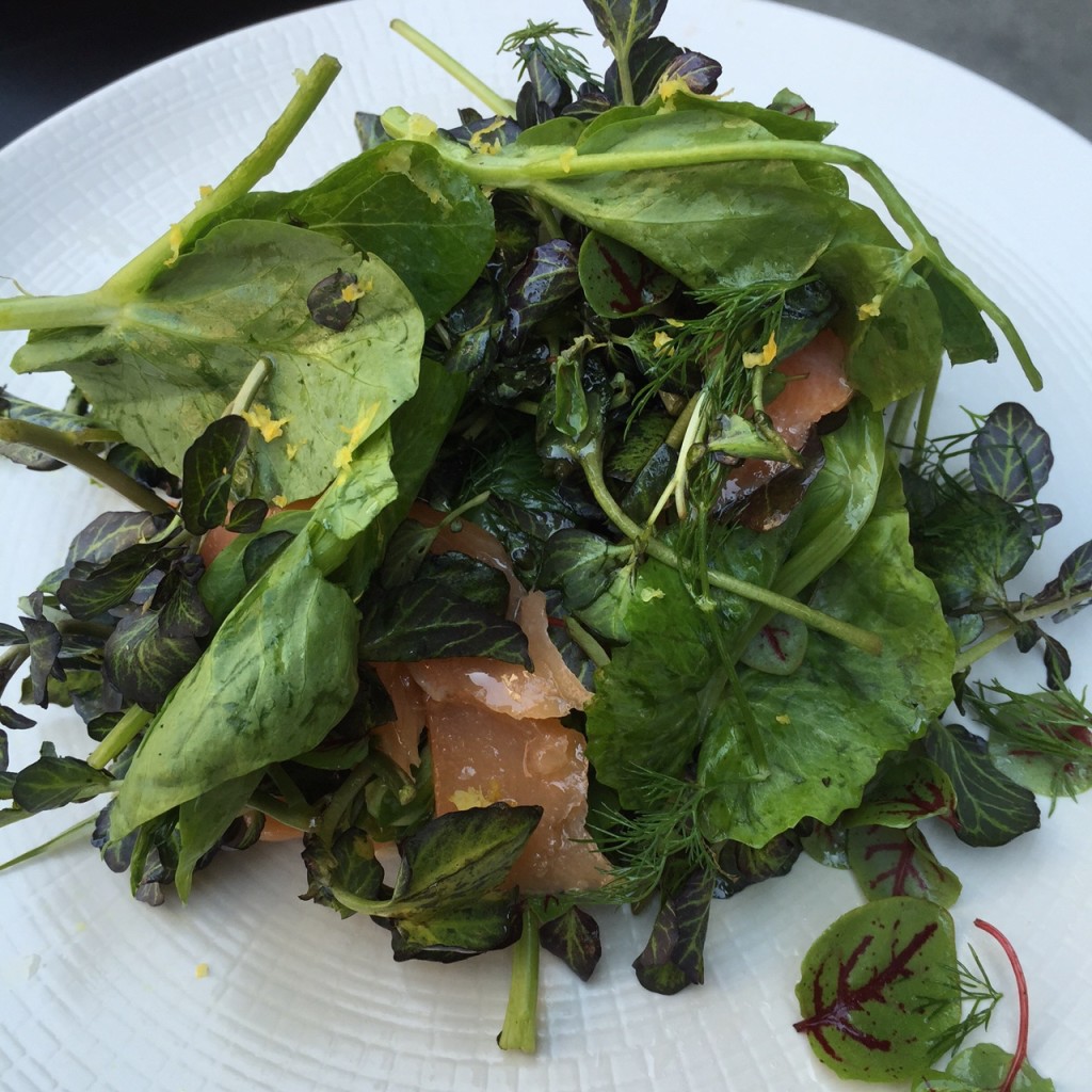 Smoked Trout Salad, little park