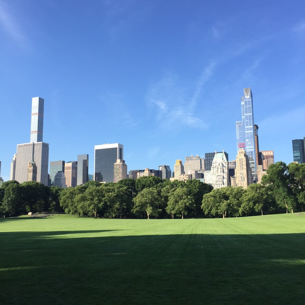Sheep Meadow
