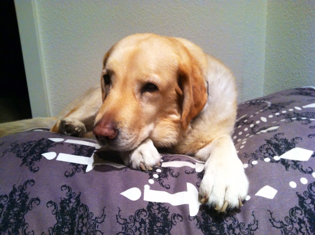 Get High With A L'il Help From My Friends...