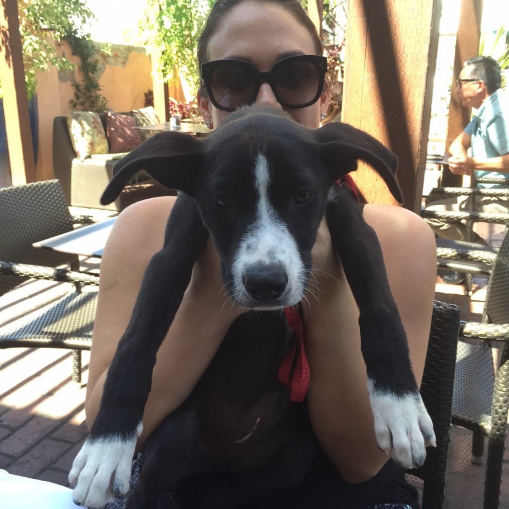 Finnley B. & Courtny S.