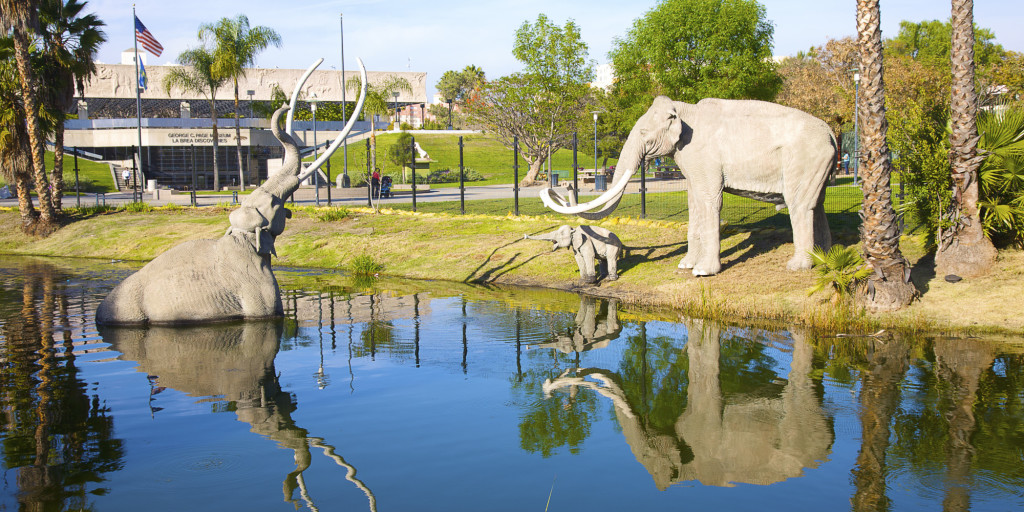 La Brea Tar Pits