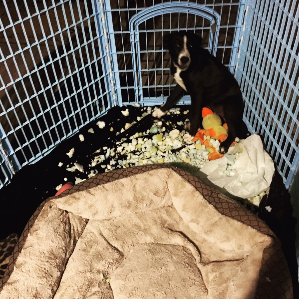 Stuffing Knocked Out Of Me...