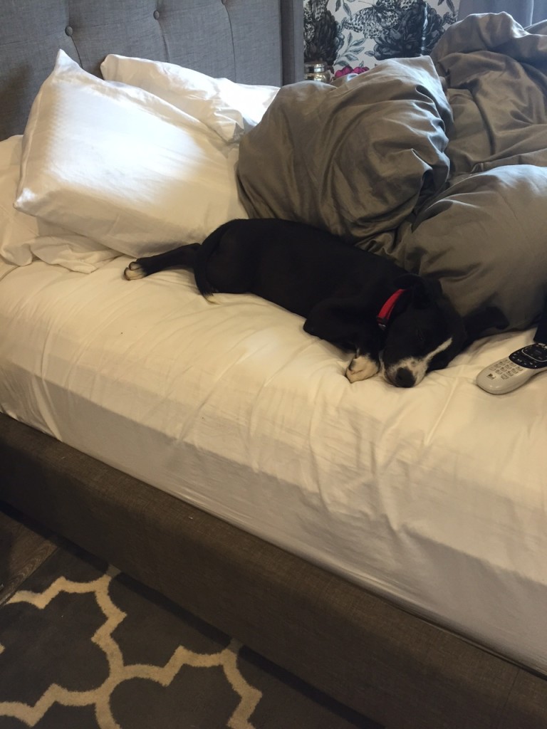 Finnley Breaking House Rules