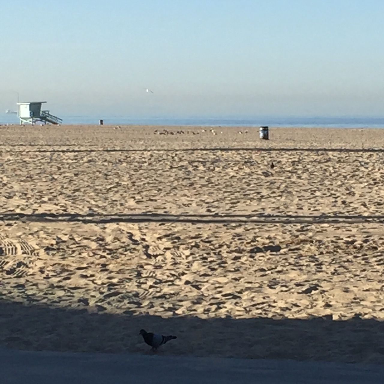 March In Manhattan or LA?!...