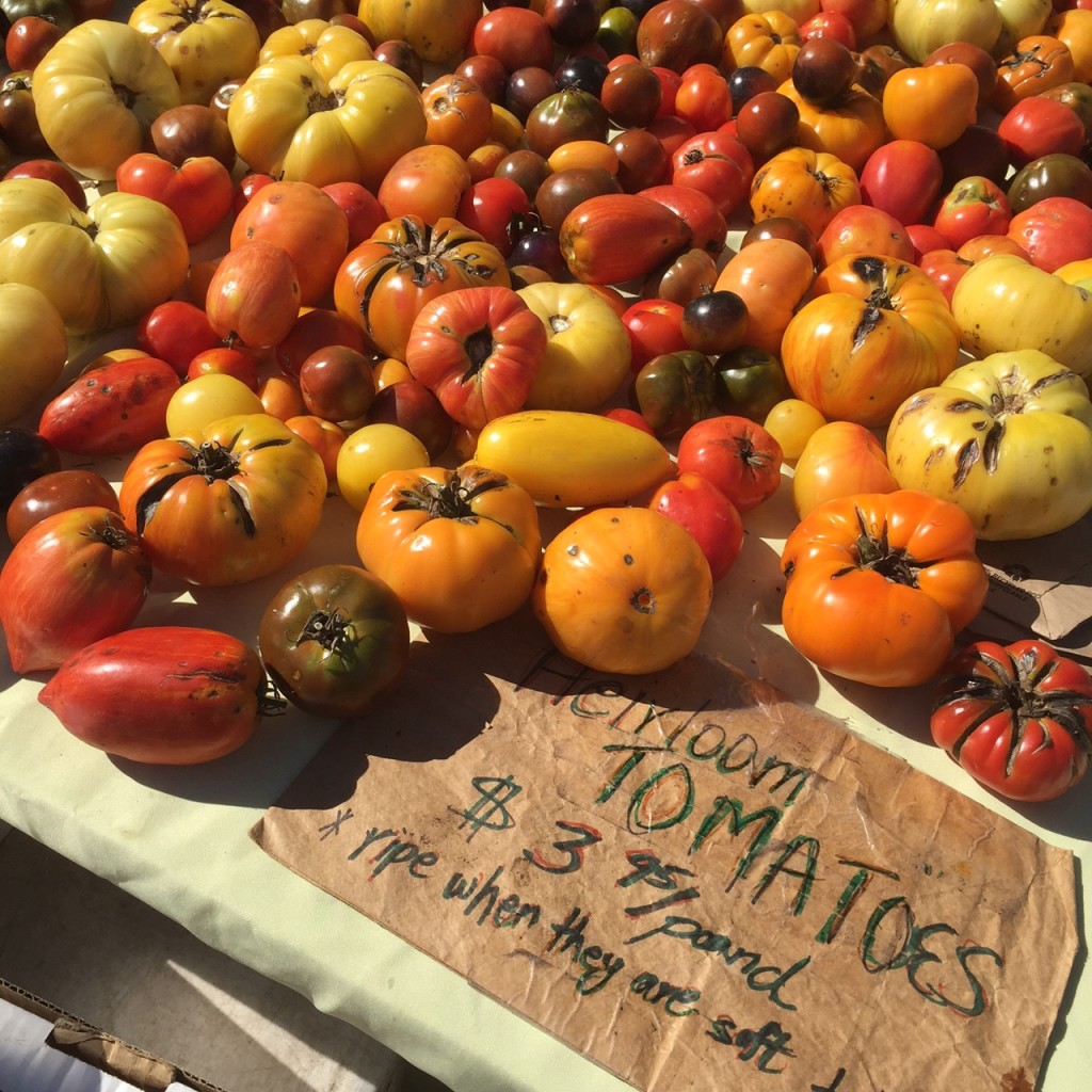 Union Square Farmer's Market