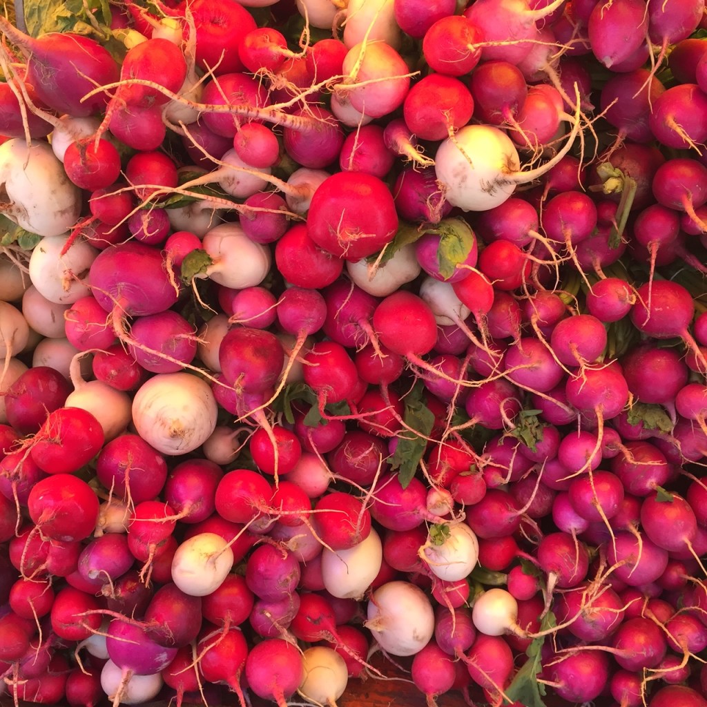 Union Square Farmer's Market