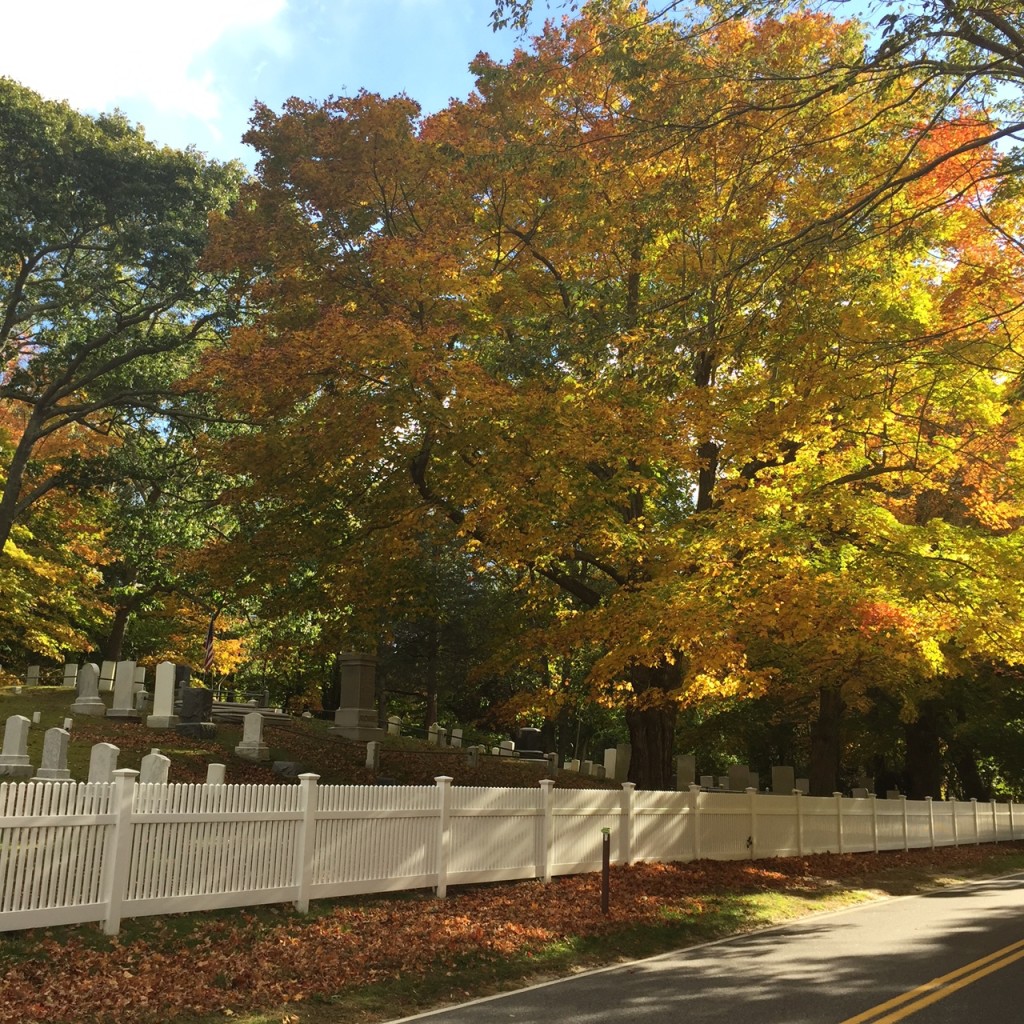 Fall Into The Hamptons...