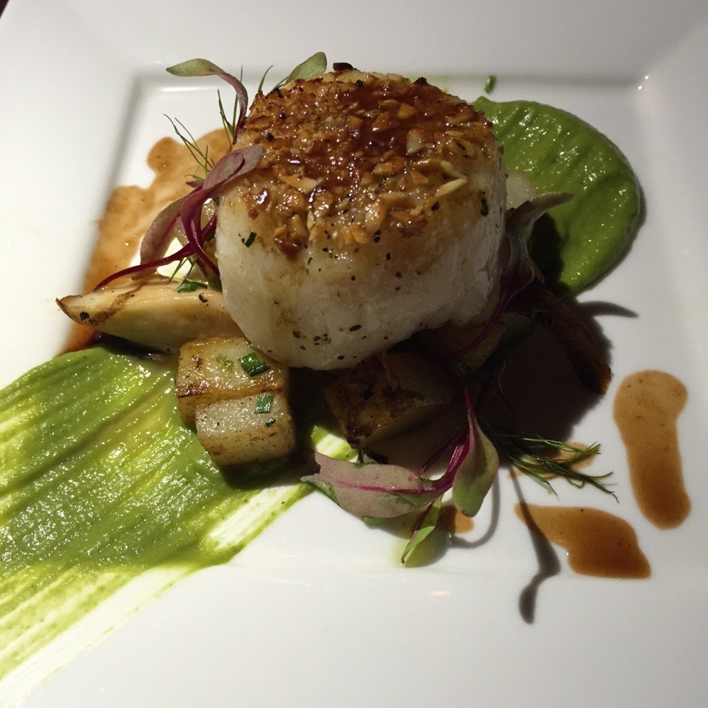 Scallop