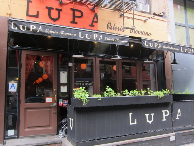 Long Live Lupa...