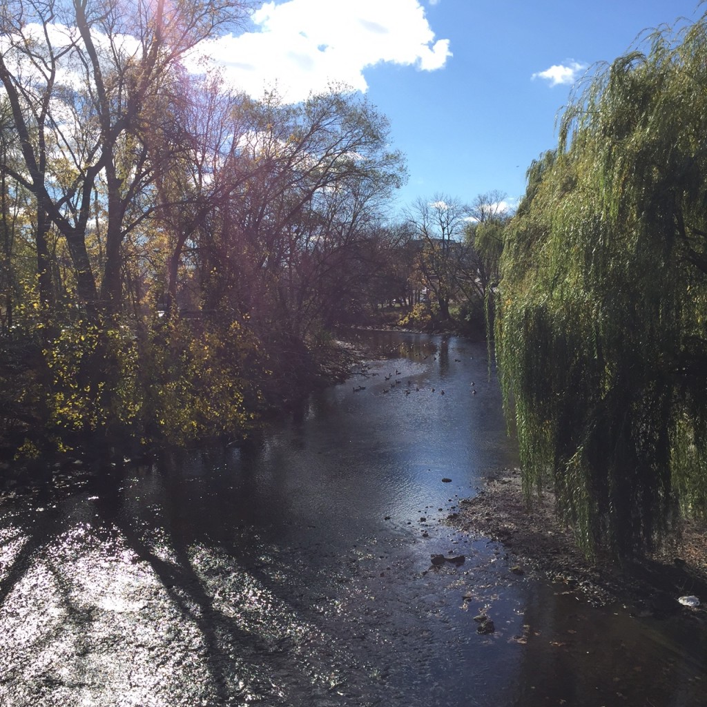 All In The Family...