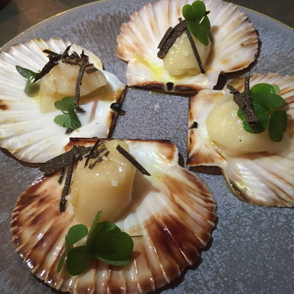 Scallops