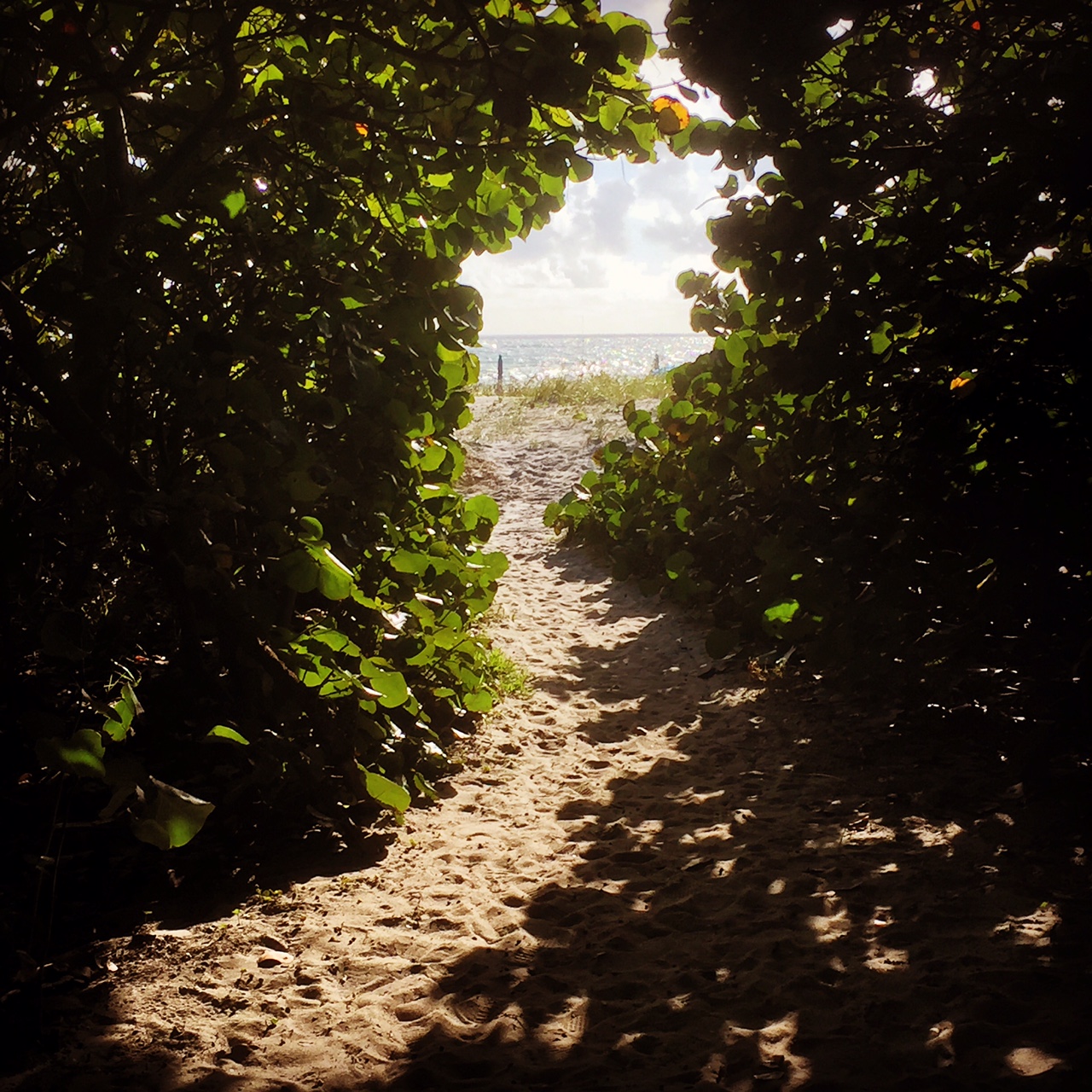 I’m Not Angry, I’m Just Paying Attention…