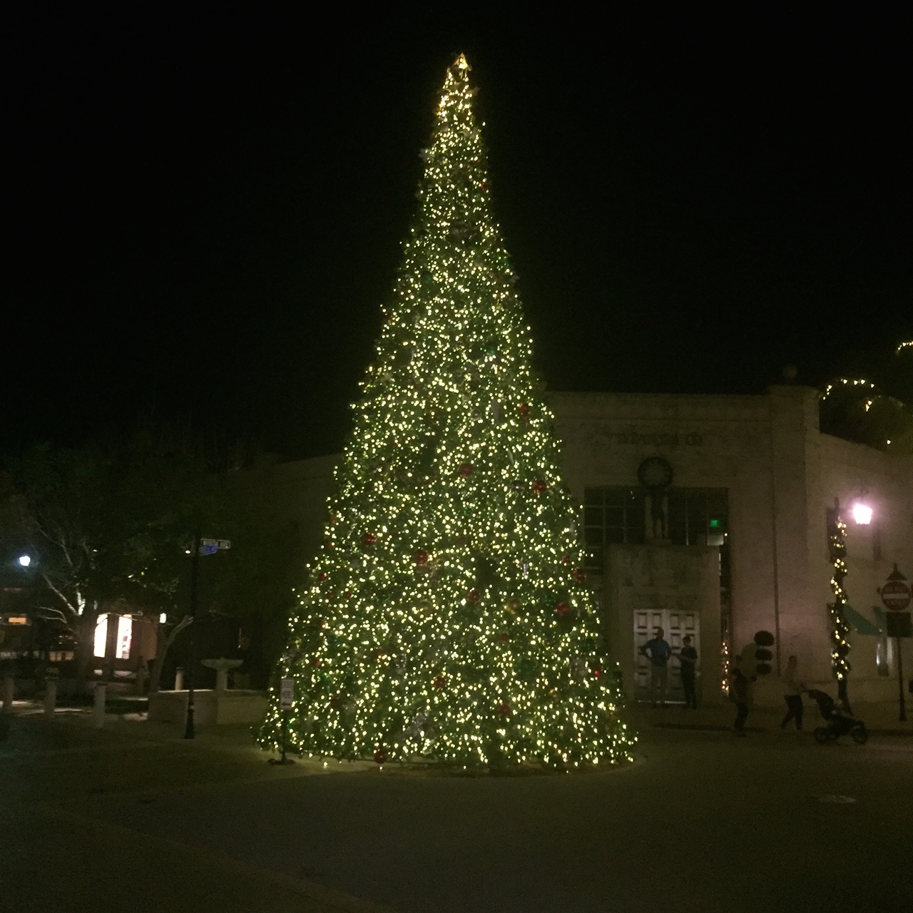 Poppin’ The Collar...