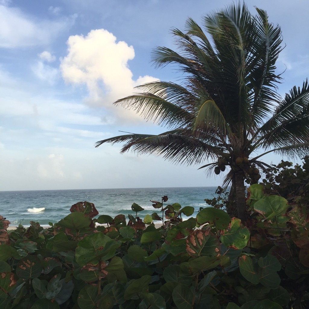 Follow The Yellow Brick Road…