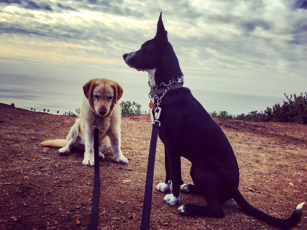 Ms. Madison & Finnley