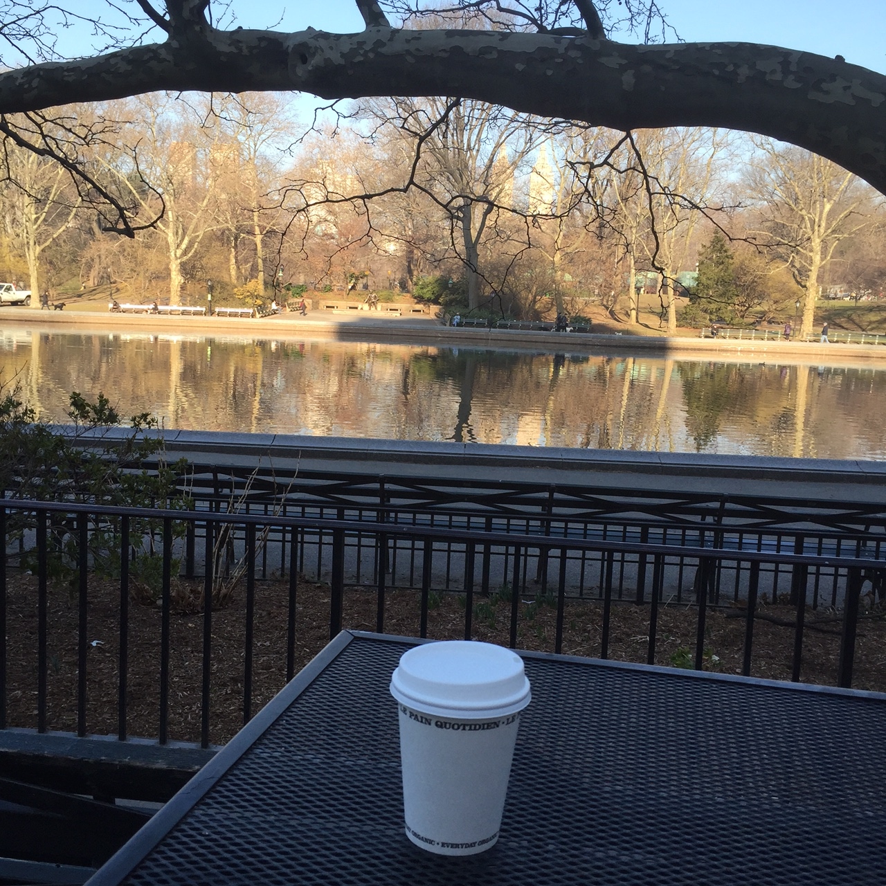 Sailboat Pond/Central Park