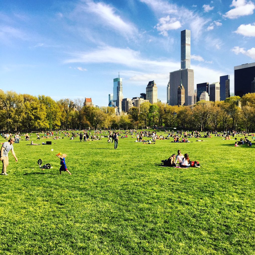 Sheep Meadow in Central Park