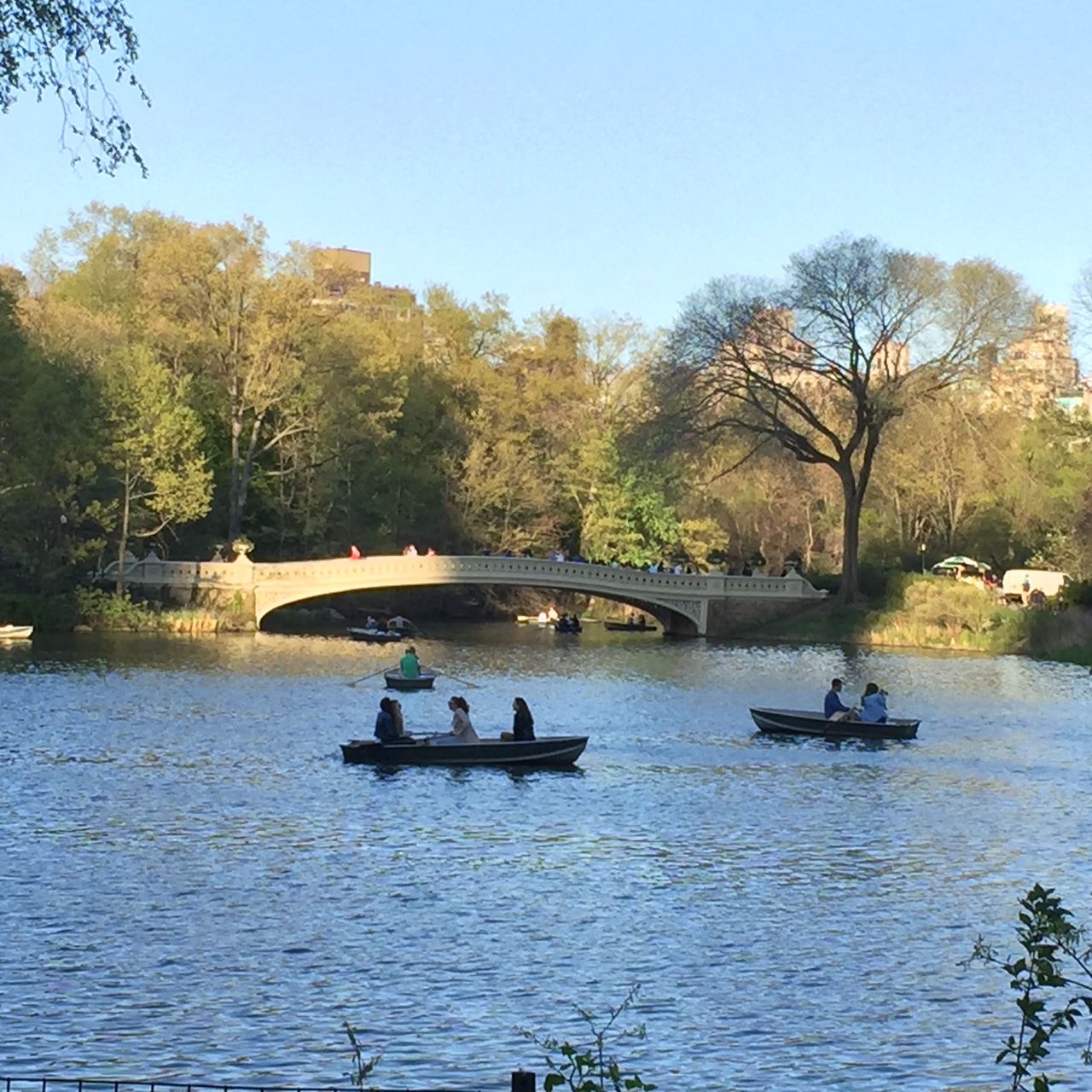 Bow Bridge Central Park