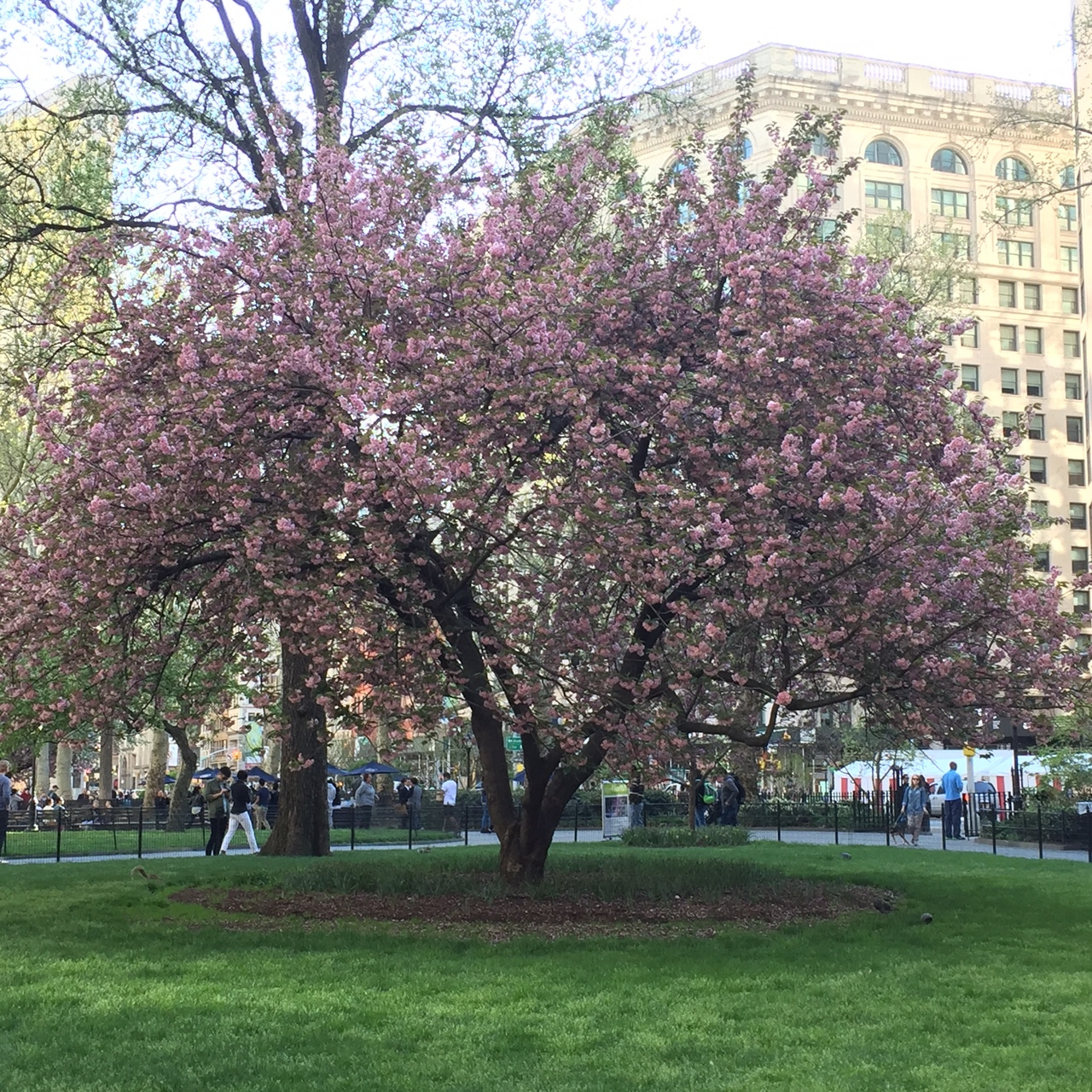 Madison Square Park