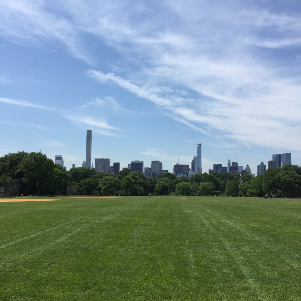 Central Park's Great Lawn